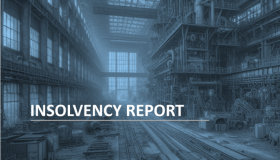 Insolvency Report 05/2024